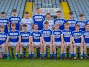 The Laois minor football Team Picture: Paul Dargan