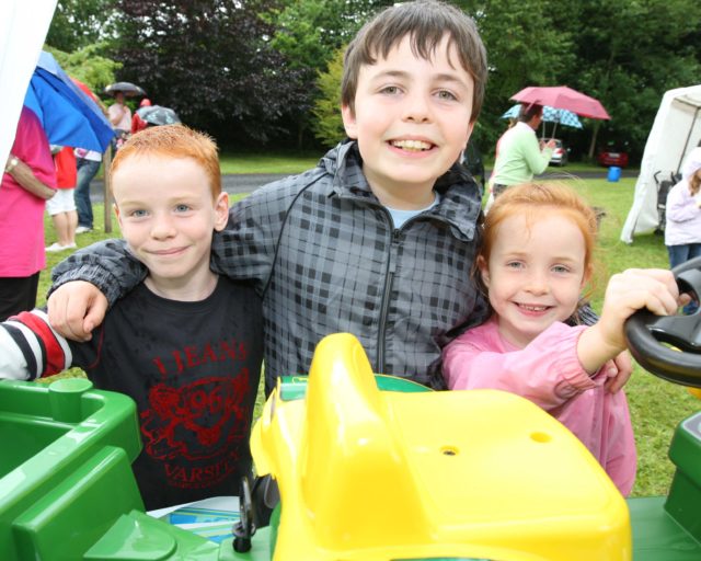 ABBEYLEIX PARISH FETE 2009 05