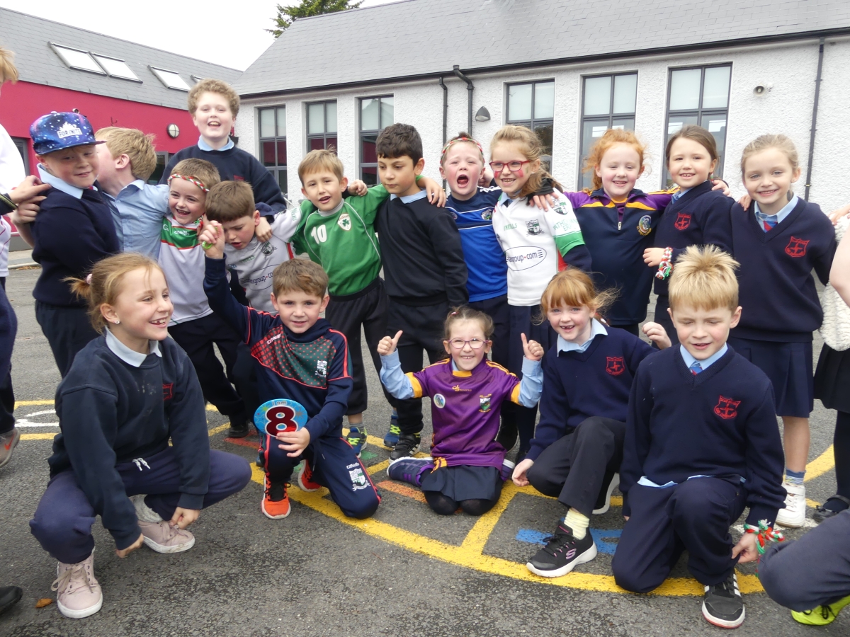 In Pictures: Electric atmosphere in Rathdowney school ahead of county ...