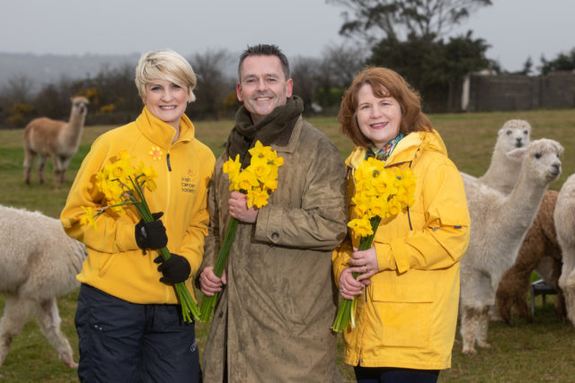 Daffodil Day call to help with Aengus MacGrianna -8