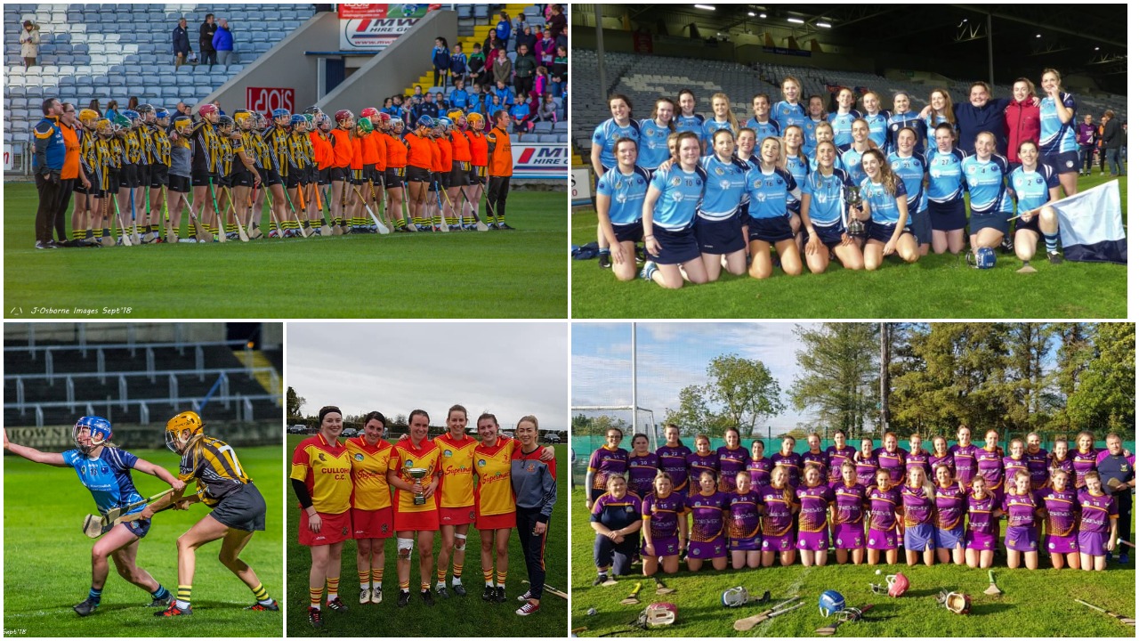 Laois club championship camogie fixtures have been announced - Laois Today