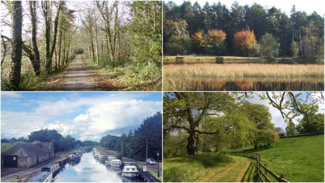 Laois Walks Festival Main