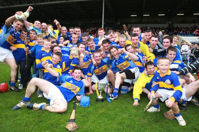 LAOIS IHC FINAL 2008 29