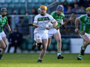 Mark Kavanagh of