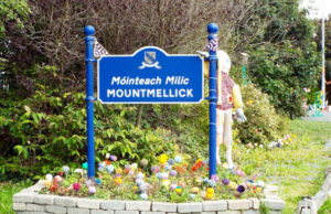 Mountmellick General