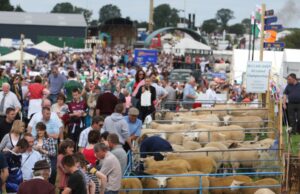 Tullamore Show cancelled