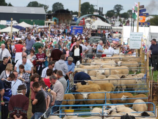 Tullamore Show cancelled