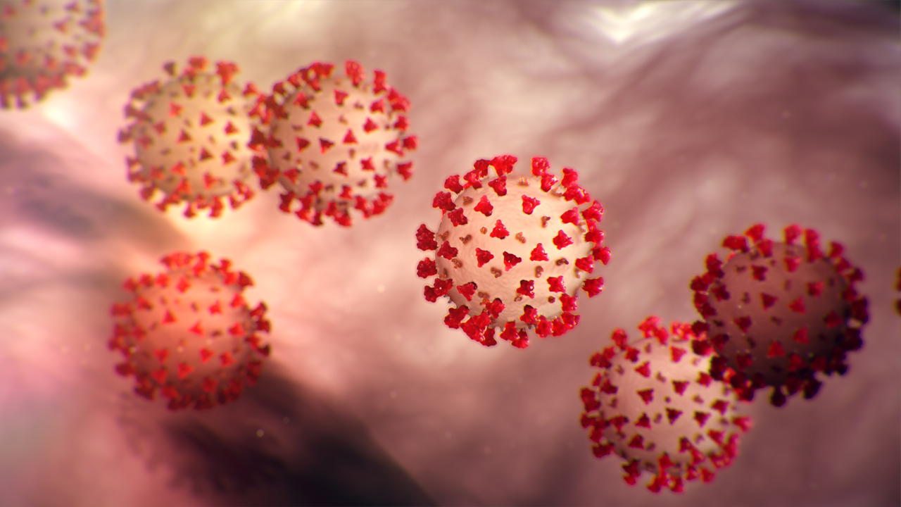 Laois Doctors release statement as second person dies from Coronavirus in Ireland Laois Doctors release statement as second person dies from Coronavirus in Ireland