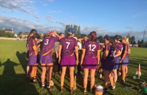 St Brigid's Camogie