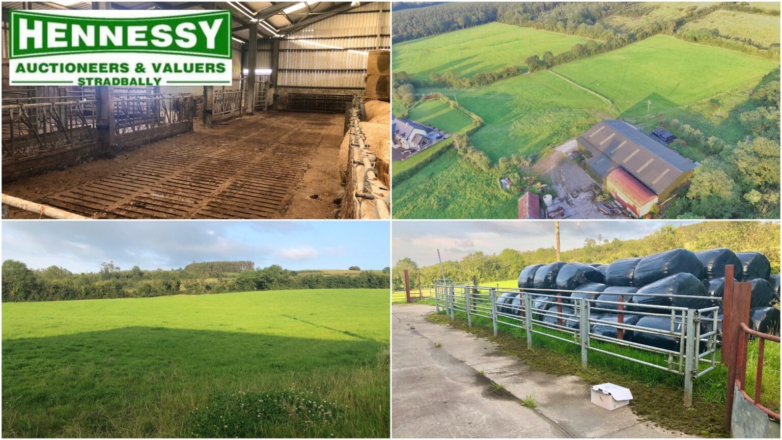 Property 15 acres plus 7,200 square foot agri/industrial shed in Timahoe sells for €220,000 at