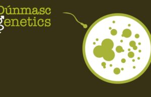 Dunmasc Genetics