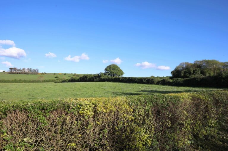 Magnificent 36acre residential farm in Ballyroan for sale with Hume