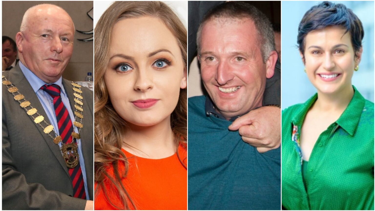 Fine Gael members to have their say as two names confirmed for convention battle Laois Today