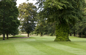 Portarlington Golf Club