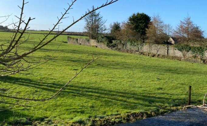 Site for proposed Borris-In-Ossory playground