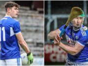 Laois footballers and hurlers