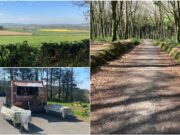 Oaghaval Woods Stradbally