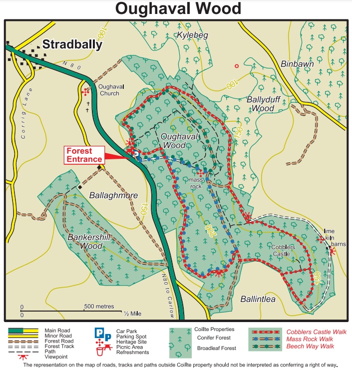 Oaghaval Woods Stradbally