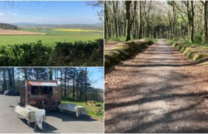 Oaghaval Woods Stradbally