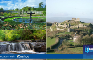 Love Laois
