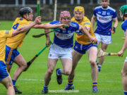 The Laois hurlers went down to Clare by 2-27 to 1-17 on Sunday