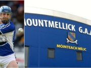James Young has been appointed as manager of the Mountmellick hurlers for the 2021 season