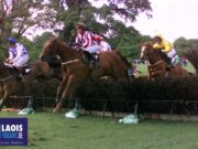 Laois Hunt Point to Point