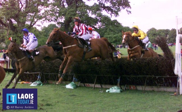 Laois Hunt Point to Point