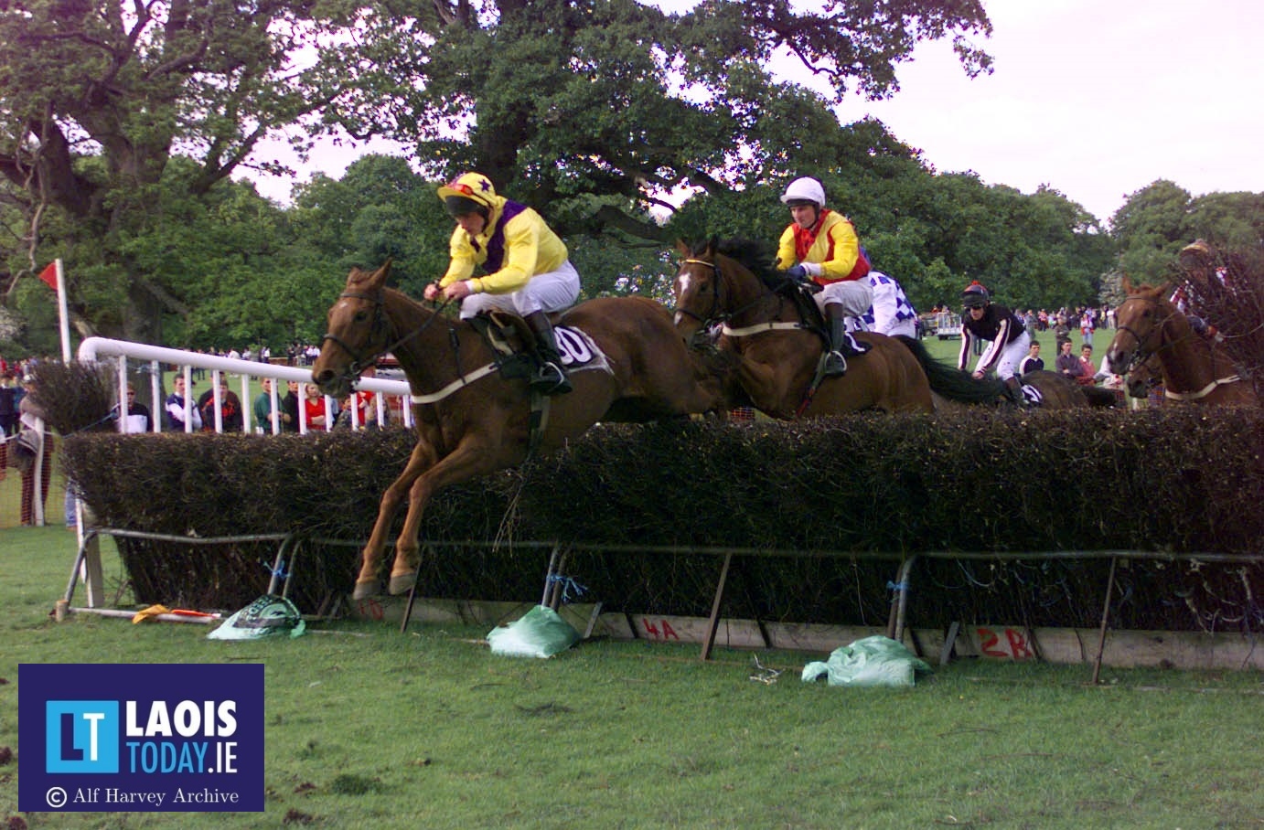 Laois Hunt Point to Point