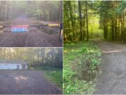 Togher Woods