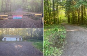 Togher Woods