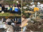 Bogs tidy up