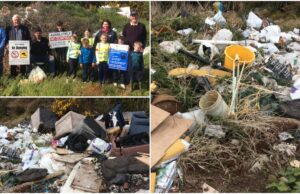 Bogs tidy up