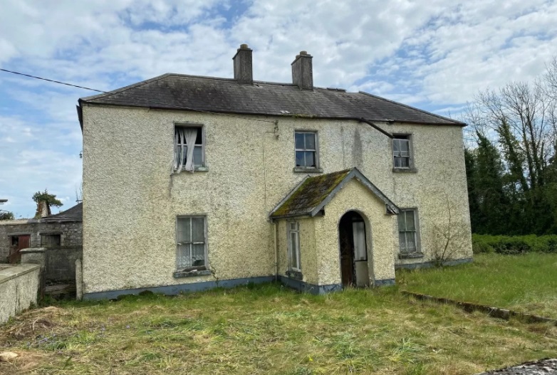 Laois property