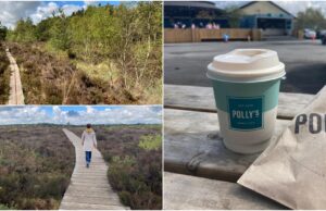 Abbeyleix Bog