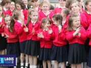 Scoil Bhride Mountrath 2007