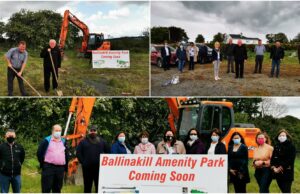 Ballinakill Park