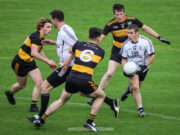 Arles-Killeen v The Heath
