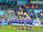 Laois senior hurlers
