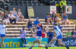 The Laois hurlers have been a joy to watch over the past couple of weeks