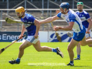Laois hurlers v WATERFORD