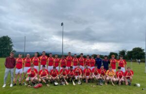 The Harps IHC
