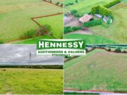 Hennessy Auctioneers Ballyroan