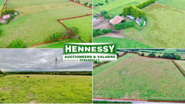 Hennessy Auctioneers Ballyroan
