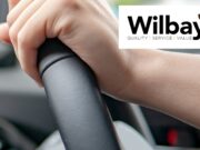 Wilbay Job