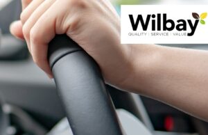 Wilbay Job