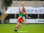Laois hurling