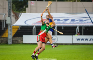 Laois hurling