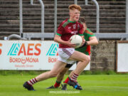 Rioghan Murphy Portarlington