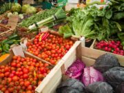 Horticulture Industry